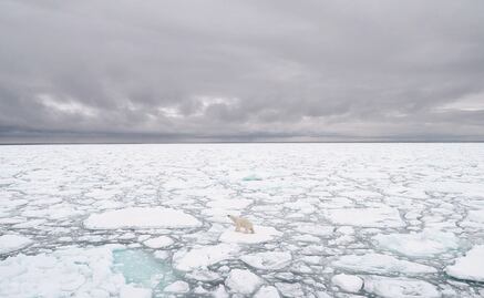 Hielo del Ártico alcanza récord por sus niveles más bajos en 40 años