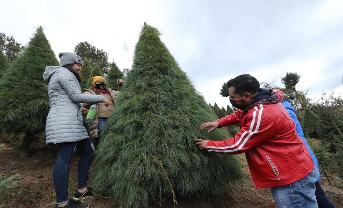 Foto: Jorge Alvarado.