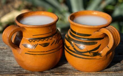 Tenemos una razón más para beber pulque: previene el cáncer de acuerdo a estudios científicos