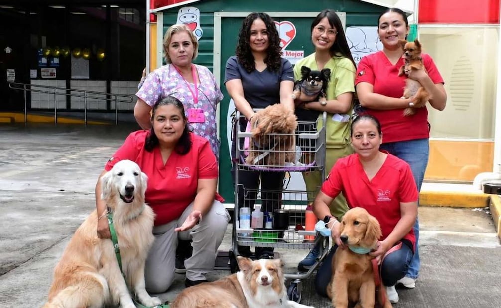 Pacientes del Instituto Nacional de Pediatría reciben a perritos de terapia (03/06/2026). Foto: Especial