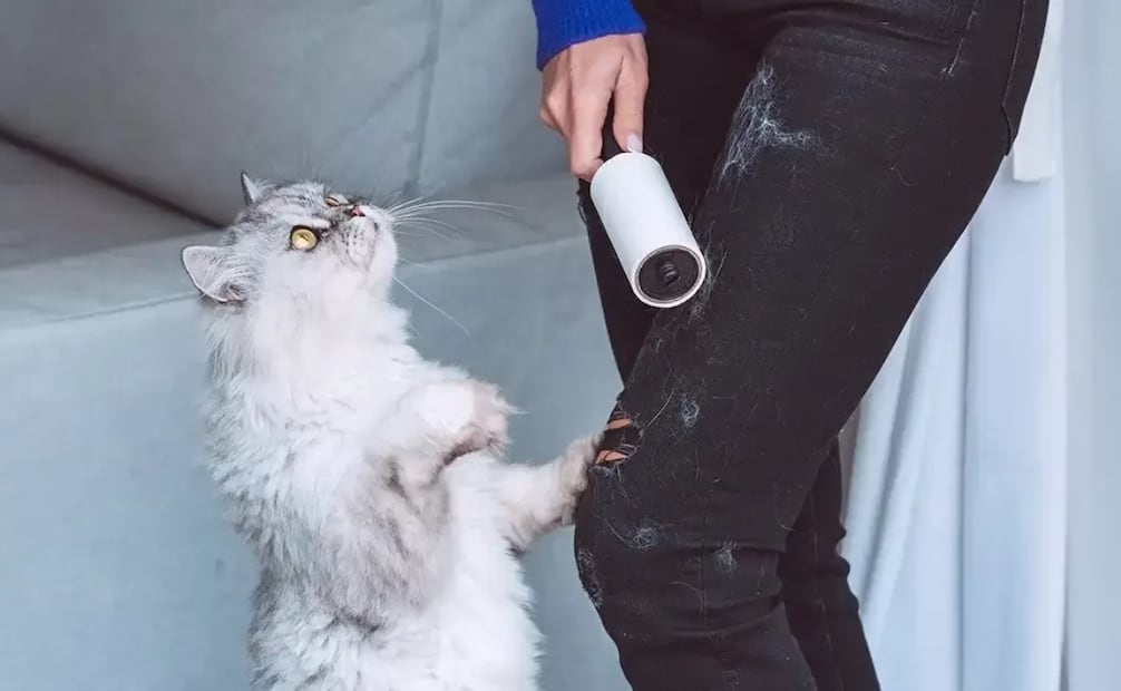 ¿Cómo eliminar pelo de gato de tu ropa de manera sencilla y sustentable? Foto: Redes sociales