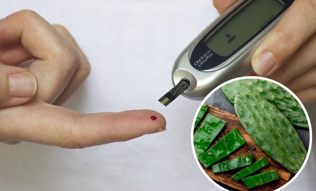 El nopal ayuda a controlar la diabetes. Foto: Archivo / EL UNIVERSAL