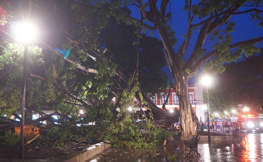 Foto: Edwin Hernández / EL UNIVERSAL