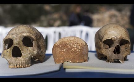 Los neandertales se extinguieron por estrés ante la llegada del Homo sapiens