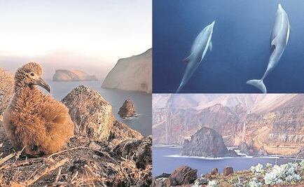 Riqueza de México para el mundo, en tv