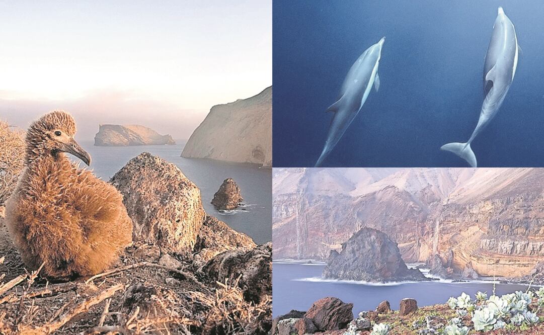 El documental está integrado por seis capítulos de 30 minutos cada uno. (CORTESÍA)