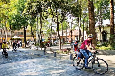 Lanzan campaña ambiental en la BJ 