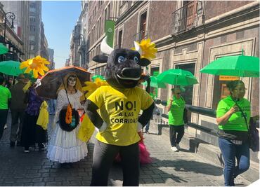 Activistas y animalistas celebran con batucada la aprobación del dictamen que protege a los toros