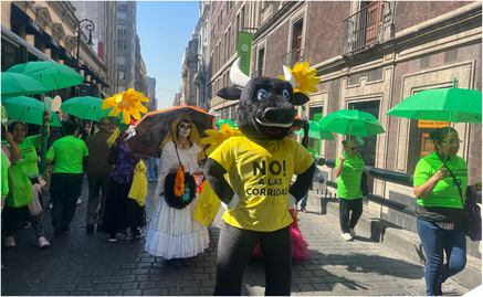 Tardó 16 años prohibir la tauromaquia con violencia en la CDMX; finalmente se alcanzó el consenso en el Congreso