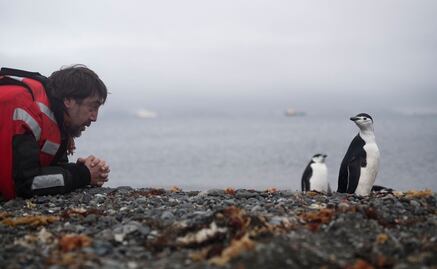 Desde la Antártida, Javier Bardem pide protección del océano