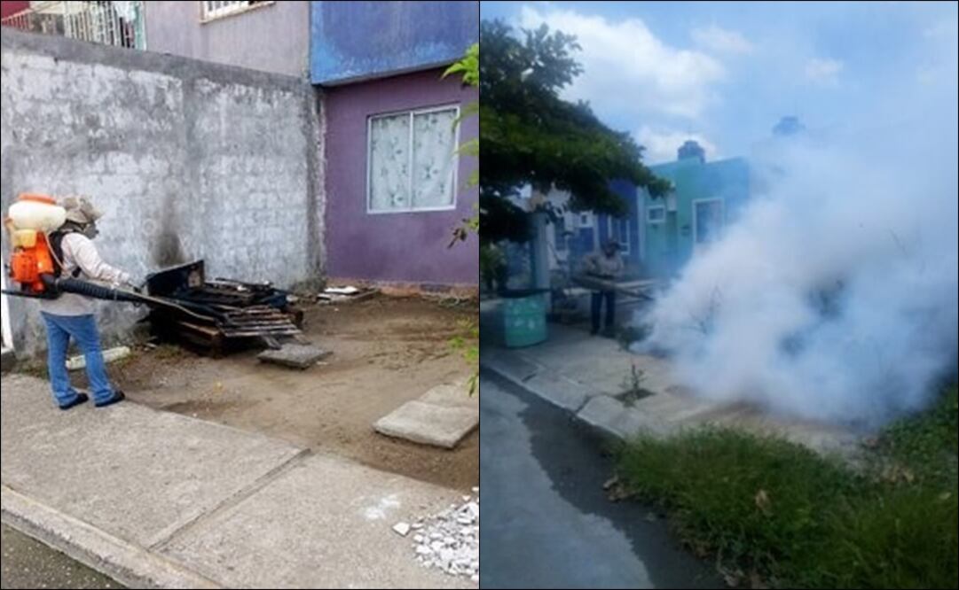 Fotos del Twitter de la regidora Ileana Ramírez Domínguez