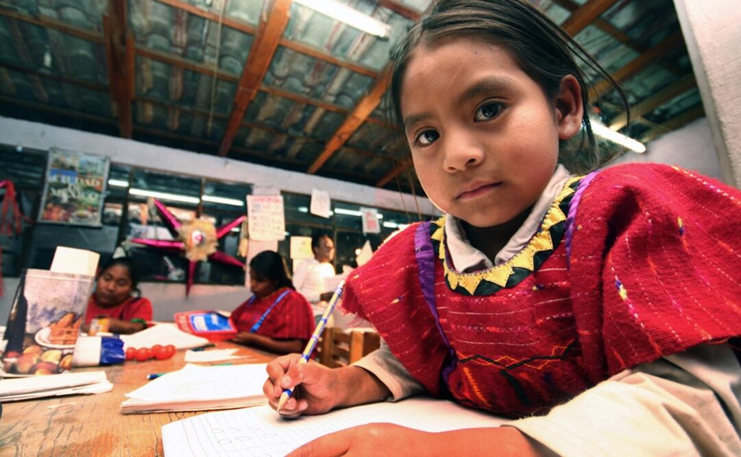 In the last 5 years, Mexico’s free text books have been renewed and over 22 native languages programs have been implemented - Photo: Yadin Xolalpa/EL UNIVERSAL