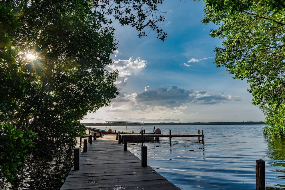 Reserva de la Biósfera Ría Celestún. Foto: Ángel Romero Ramírez. IG @angel_romero_mx