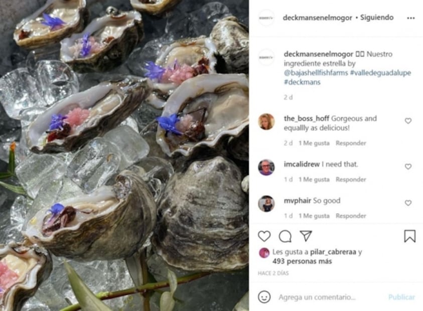 Conoce cuáles son los mejores restaurantes de Baja California de 2021