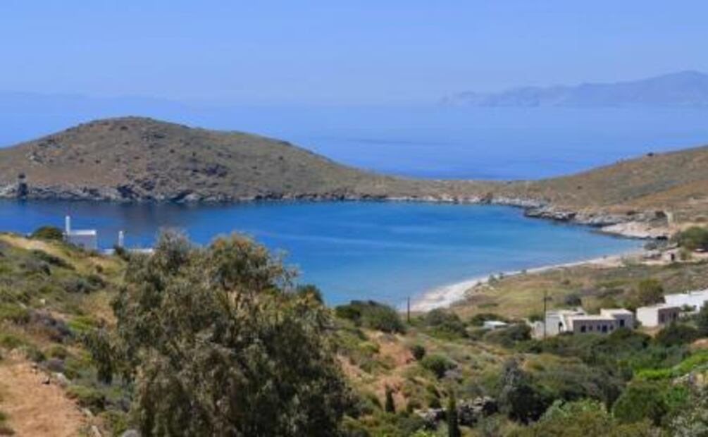 ONG en Grecia busca empleados para cuidar gatos en isla