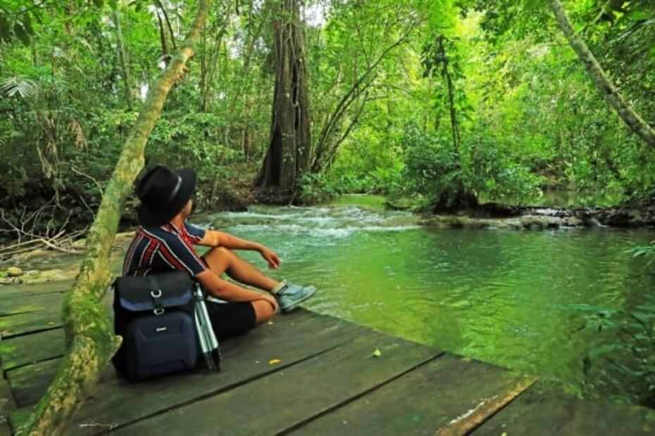 Chiapas: qué hacer en la selva Lacandona