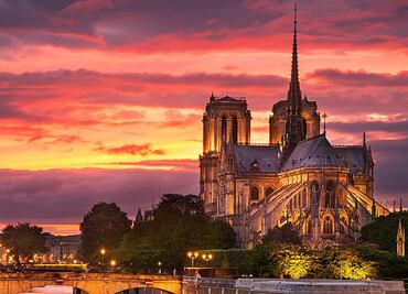 Las avanzadas técnicas medievales que usa París para restaurar la catedral de Notre Dame