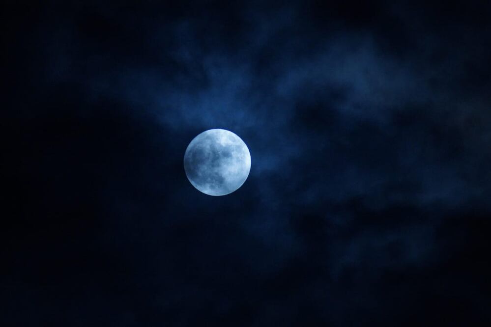 Foto: Edwin Hernández / El Universal