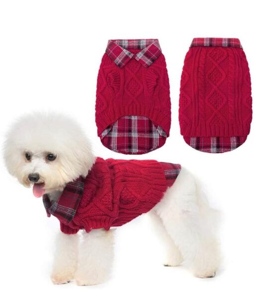 Regalos de Navidad con mucho estilo para tu perro