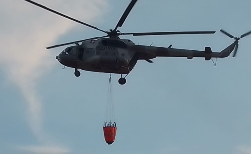 Activan nuevo incendio en la sierra de Álamos, Sonora; se sospecha que fue provocado