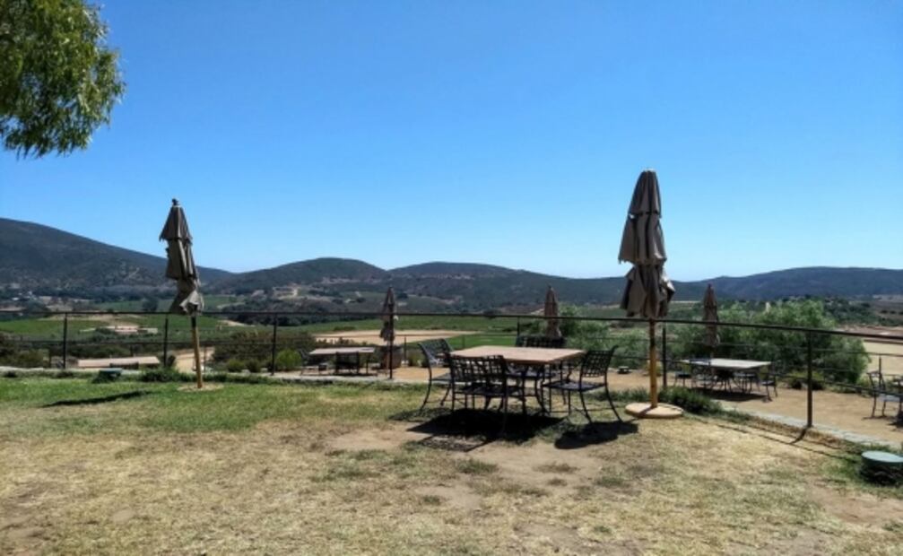 El chef Alfredo Villanueva crea un menú especial para Bodegas Santo Tomás