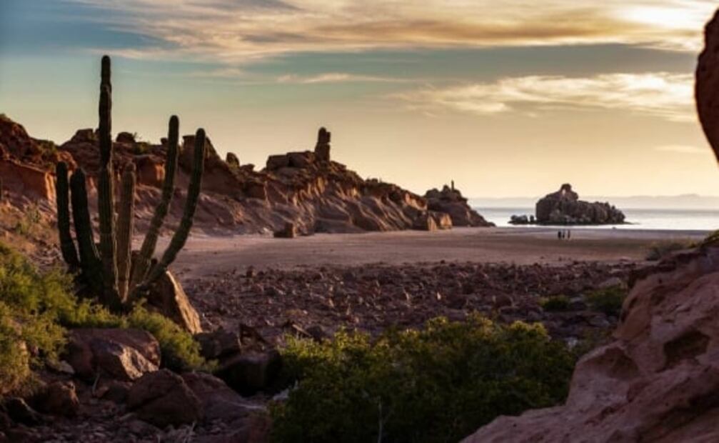 Por qué al mar de Cortés le llaman “el acuario del mundo”