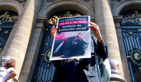 FOTOS: Colectivos se manifiestan contra las corridas de toros frente al Congreso de la CDMX