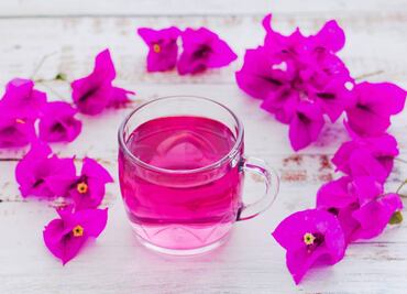 Receta: infusión de bugambilia para el malestar de garganta