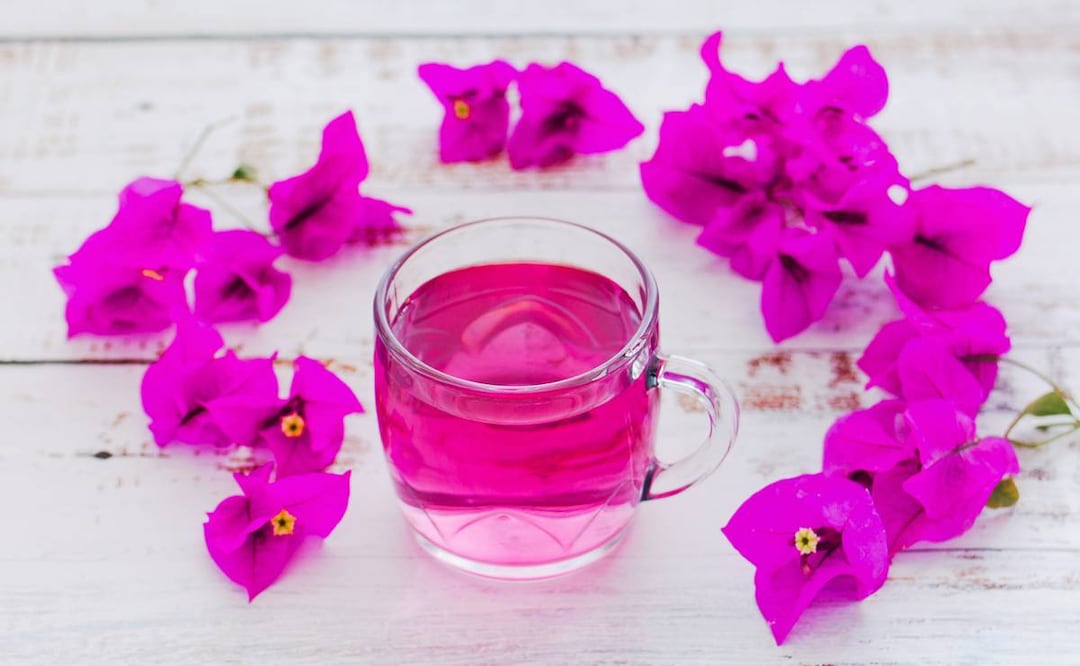Té de bugambilia para la tos. Foto: iStock