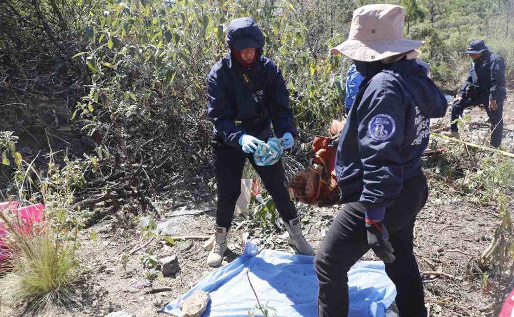 Búsqueda de Pamela Gallardo Volante en zona boscosa de Tlalpan. Foto: Juan Carlos Williams. EL UNIVERSAL