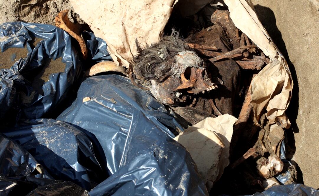 After 30 days of work, the human remains of at least 166 people have been found, based on the number of skulls that have been discovered in 32 different parts of the search area - Photo: Horacio Zamora/EL UNIVERSAL