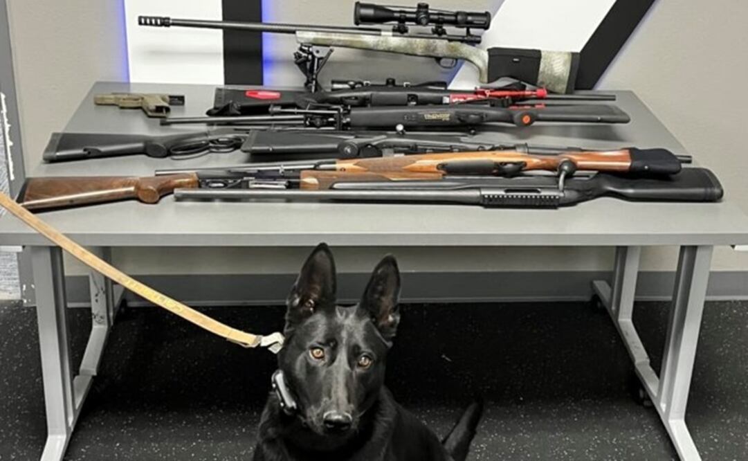 Nina, un perro entrenado para detectar armas, con el arsenal encontrado en la casa de un niño de 12 años. Foto: Departamento de Policía de Victorville
