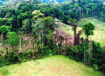Mantienen trabajos para atención de la Selva Lacandona en Chiapas