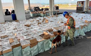 Aseguran cerca de 10 mdp de cigarros pirata en Michoacán; provenían de un país asiático