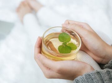 La hierba que convertida en infusión o aceite actúa en la vesícula biliar quitando dolores y mareos