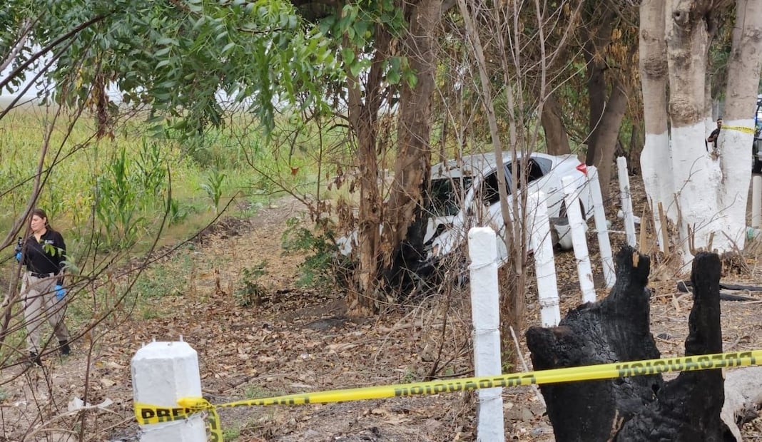 Siete homicidios marcan inicio de marzo en Sinaloa; ataques armados en Culiacán, Escuinapa y Mazatlán. Foto: Especial