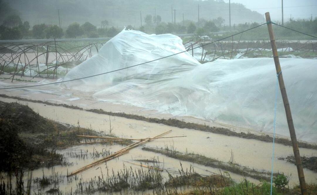 Chan-Hom, que se mueve a una velocidad de 20 kilómetros por hora, ha ocasionado fuertes vientos y lluvias en 24 ciudades de Zhejiang (Foto: Xinhua)