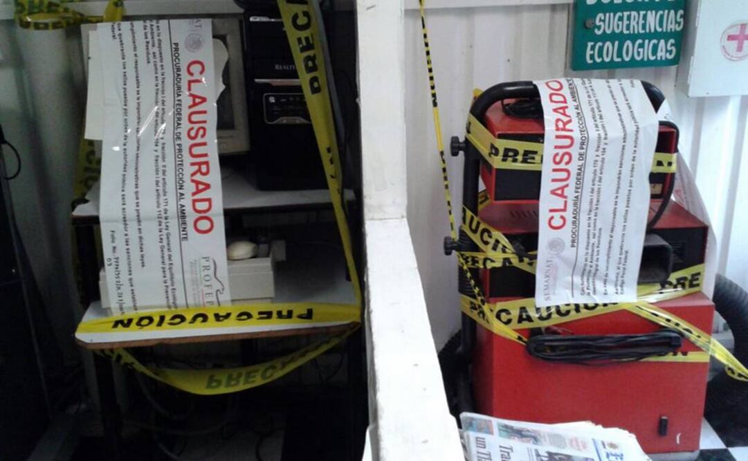 Tomada de @PROFEPA_Mx