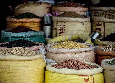 El superalimento mexicano, fuente de proteína y desintoxicación natural