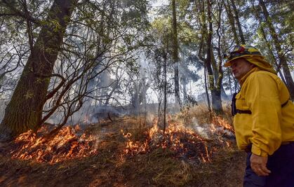 Sofocan incendio forestal en Parque Nacional La Malinche en Tlaxcala; el sitio permanecerá cerrado hasta nuevo aviso
