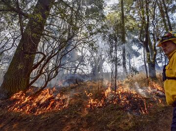 Sofocan incendio forestal en Parque Nacional La Malinche en Tlaxcala; el sitio permanecerá cerrado hasta nuevo aviso