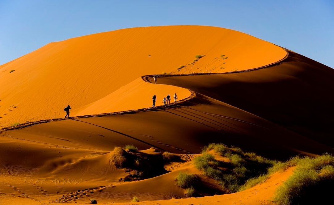 La duna más alta de Sossusvlei mide 325 metros y tiene por nombre Big Daddy. Foto: iStock