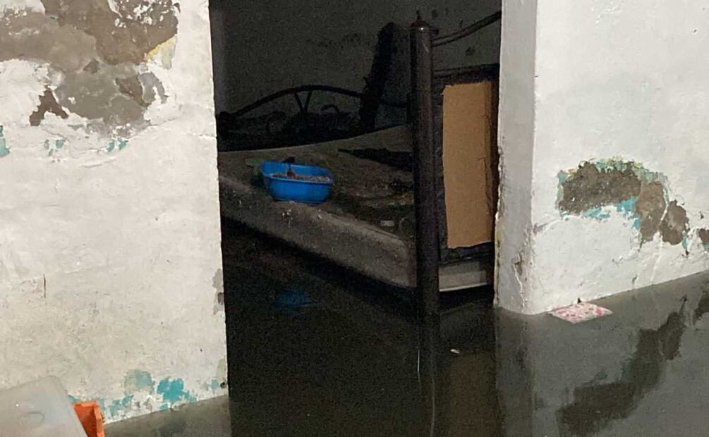 Foto: Gaspar Betancourt. EL UNIVERSAL