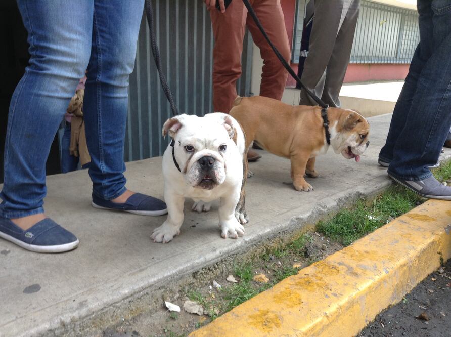 Archivo / EL UNIVERSAL