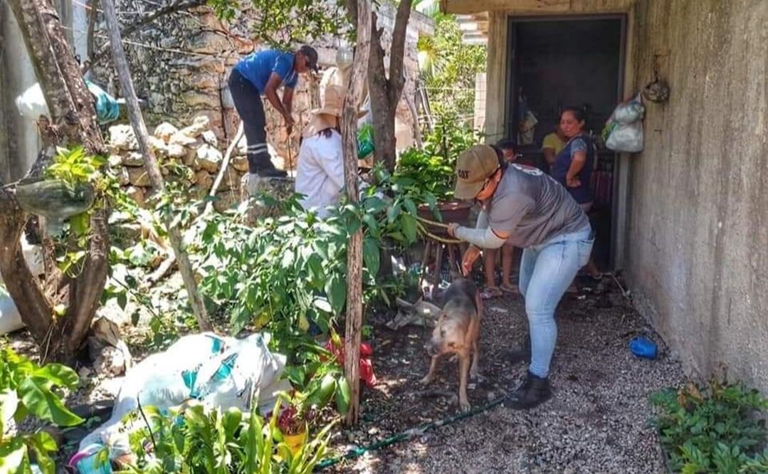 El dueño del animal comentó que su mascota se puso a brincar en el pozo y en un momento dado cayó Foto: Especial