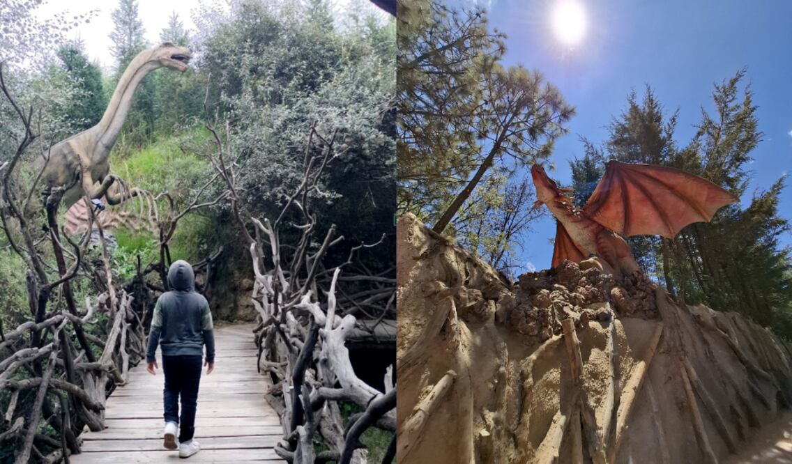 Fotos: Volcanic Park