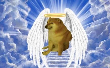 Despiden a Cheems, perrito viral, con los mejores memes de Internet