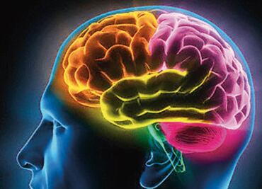 ¿Cómo se forman los recuerdos en el cerebro?