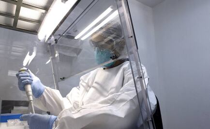 Nueva York registra cinco casos del virus del Zika