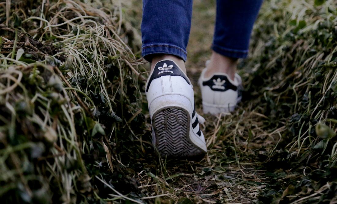 Caminar | Fuente: Unsplash